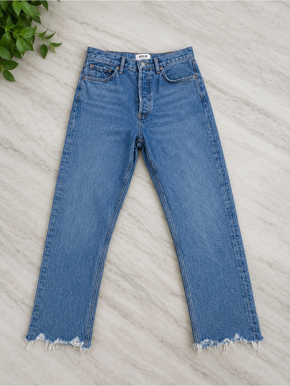 AGOLDE Riley Frayed Hem Straight Crop Jeans – Size 26